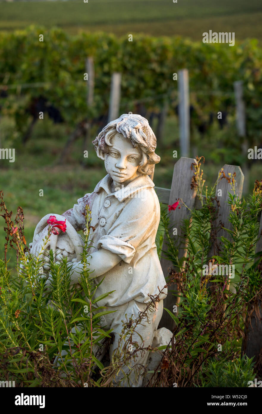 Saint Emilion, Francia - 12 Settembre 2018: Statua di un ragazzo tenendo un cesto con uva sullo sfondo dei vigneti in Saint Emilion regione. F Foto Stock