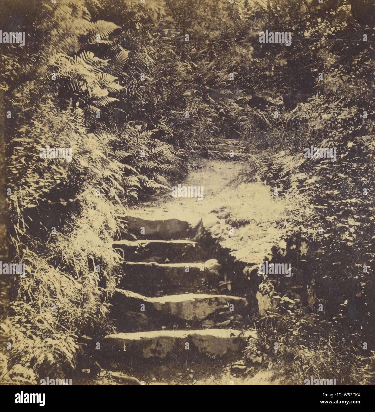 La Ferny Banche del West Lynn., William Palmer (British, attivo Lynton, Inghilterra 1860s), circa 1864, albume silver stampa Foto Stock