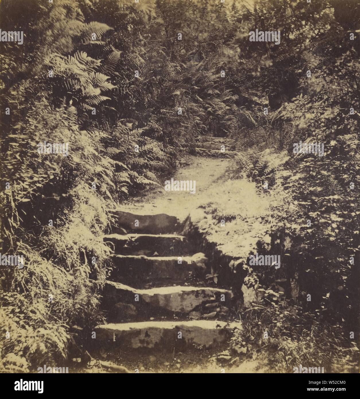 La Ferny Banche del West Lynn., William Palmer (British, attivo Lynton, Inghilterra 1860s), circa 1864, albume silver stampa Foto Stock