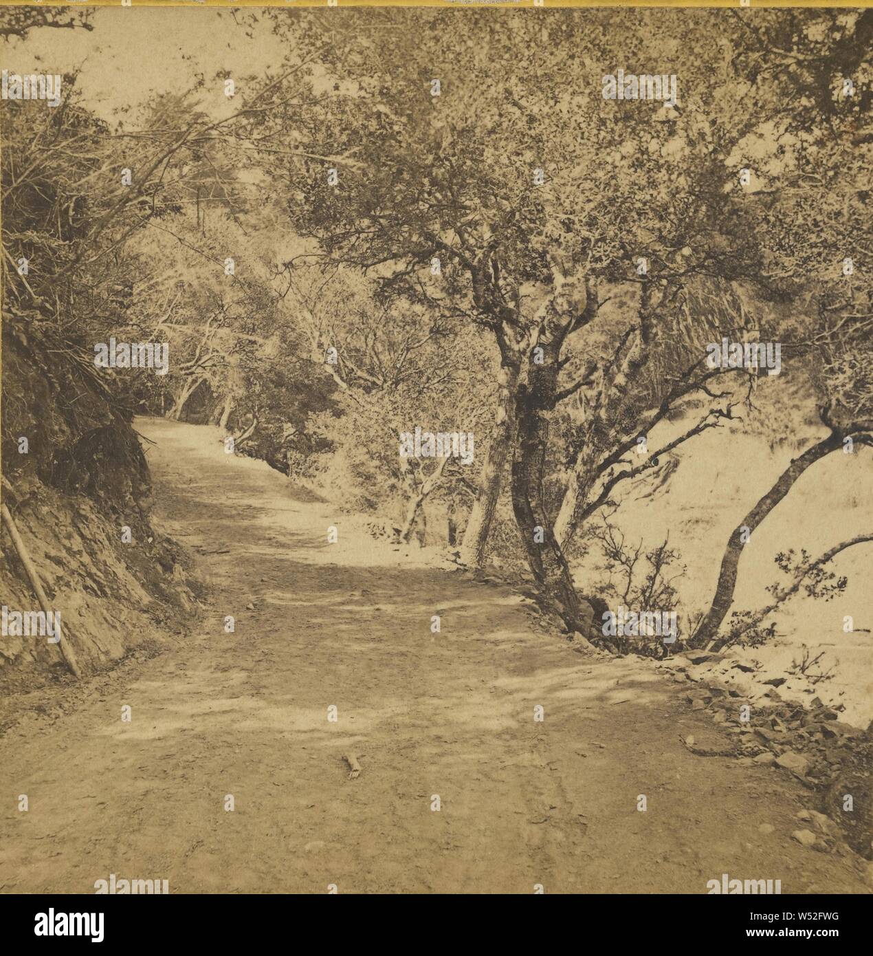 La strada per raggiungere la grotta, Carleton Watkins (American, 1829 - 1916), circa 1867, albume silver stampa Foto Stock