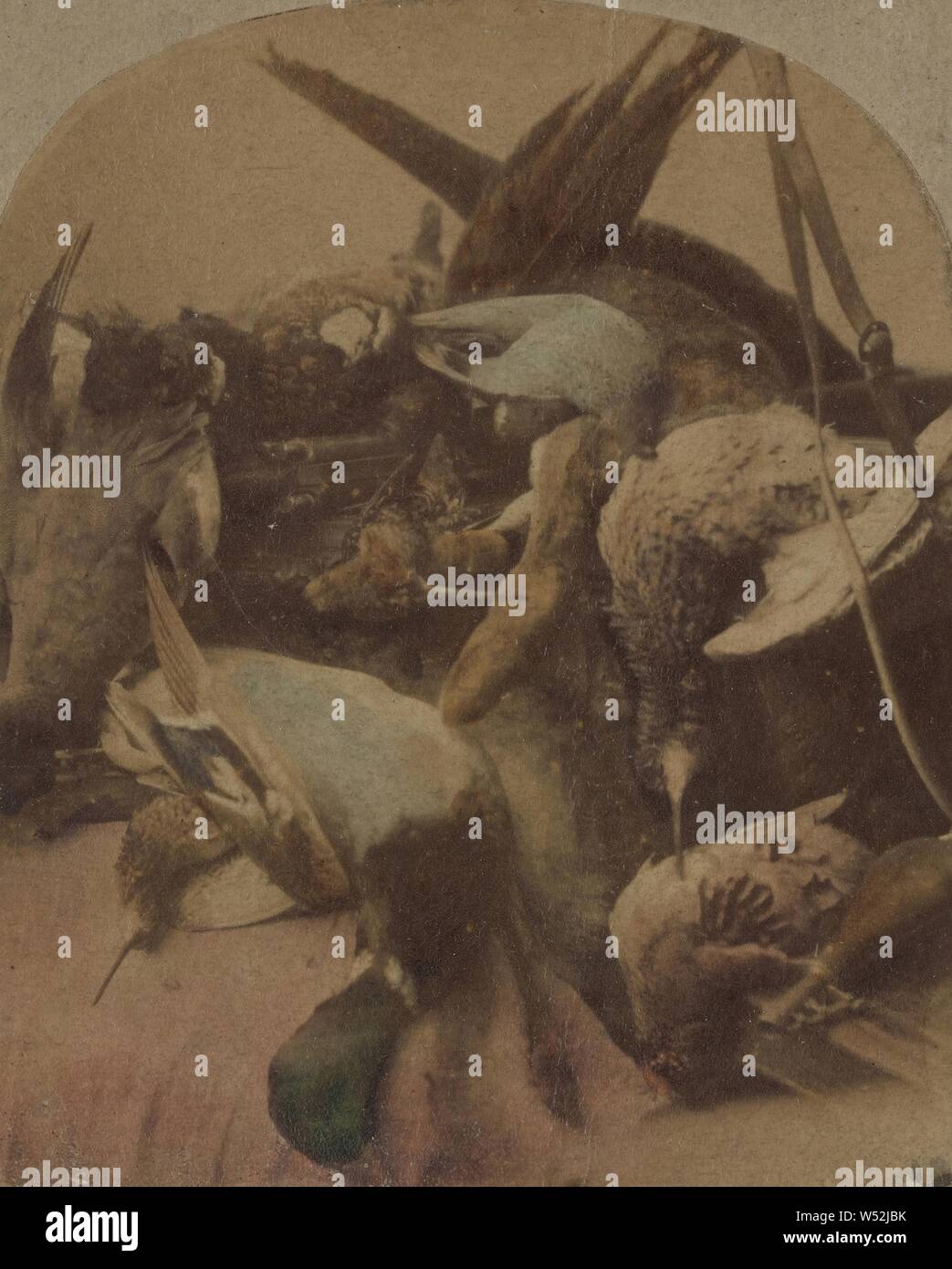 Una raccolta di gioco., sconosciuto, circa 1865, colorate a mano albume silver stampa Foto Stock