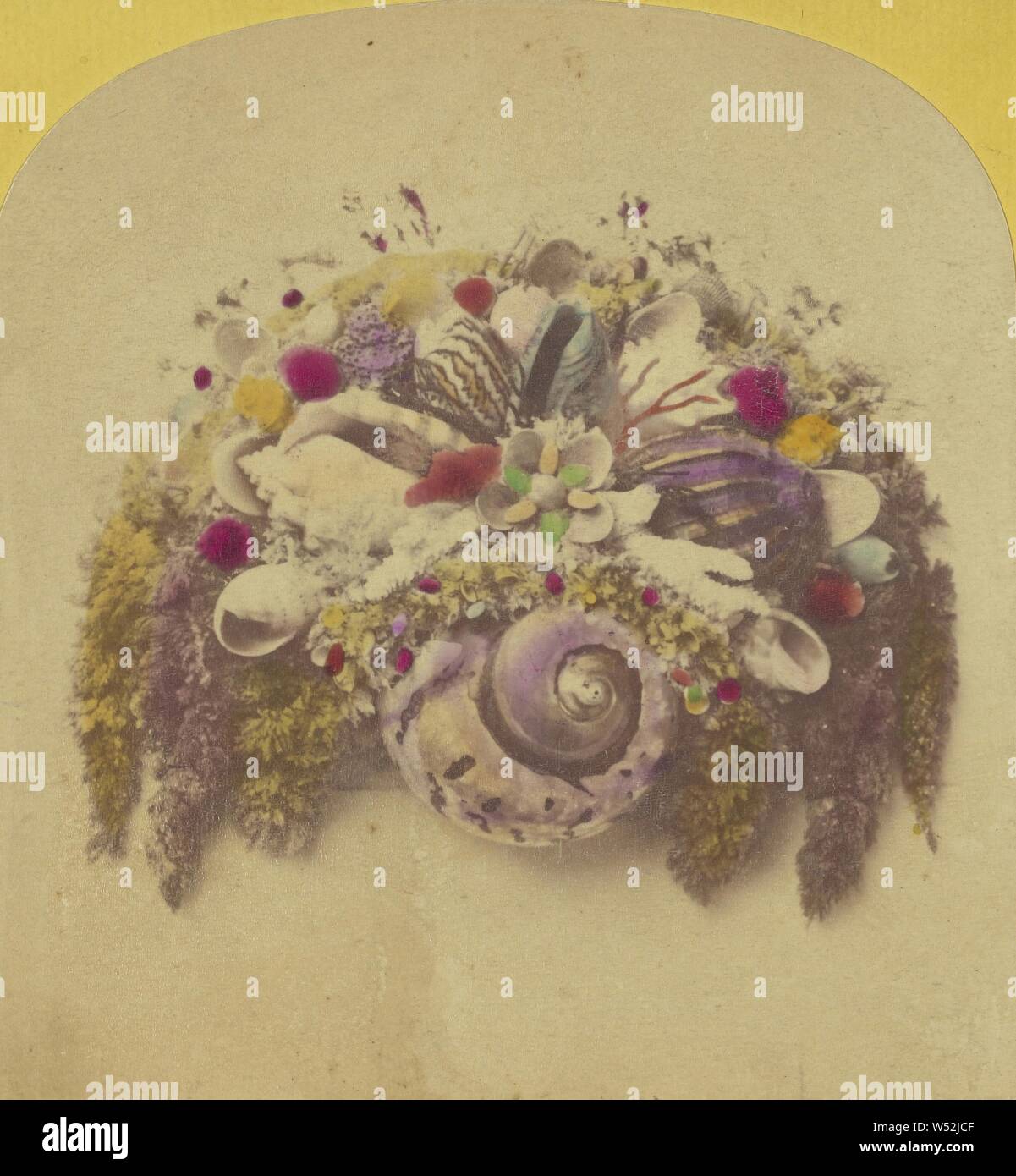 La disposizione della shell, sconosciuto, circa 1865, colorate a mano albume silver stampa Foto Stock