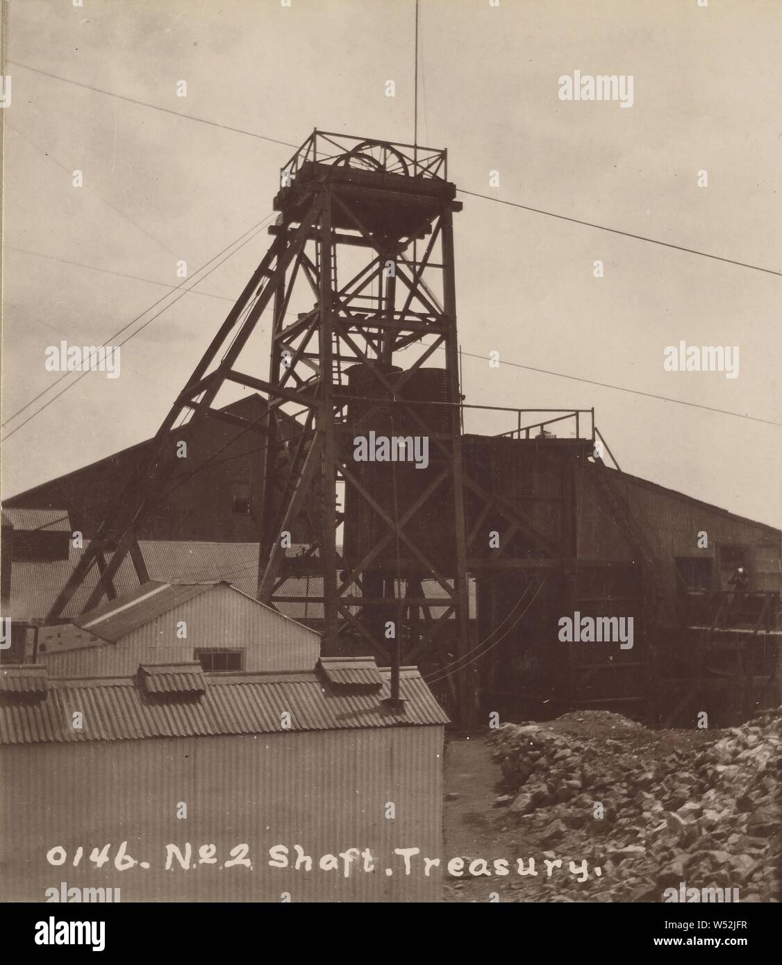 No. 2 Albero. Tesoro., J. Wilbur leggere (American, 1866 - 1946), circa 1910, gelatina silver stampa Foto Stock