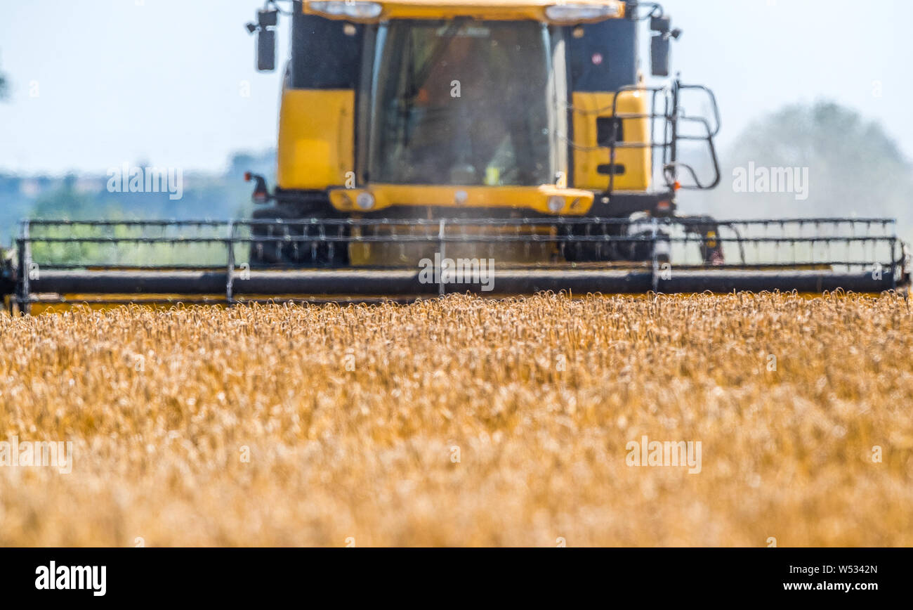 New Holland mietitrebbia il raccolto di un raccolto di orzo. Foto Stock