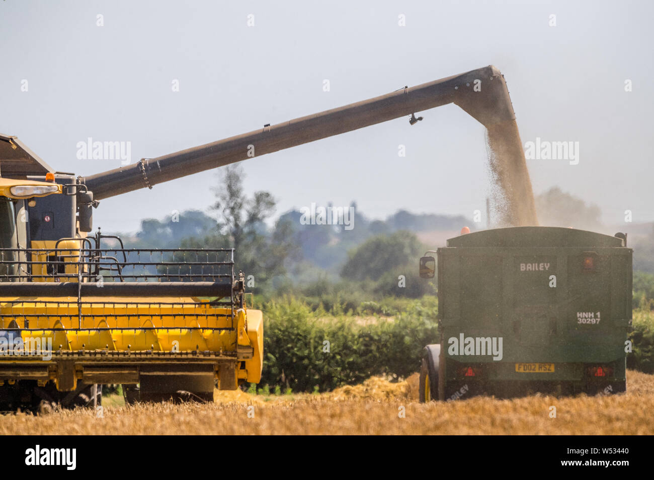 New Holland mietitrebbia il raccolto di un raccolto di orzo. Foto Stock