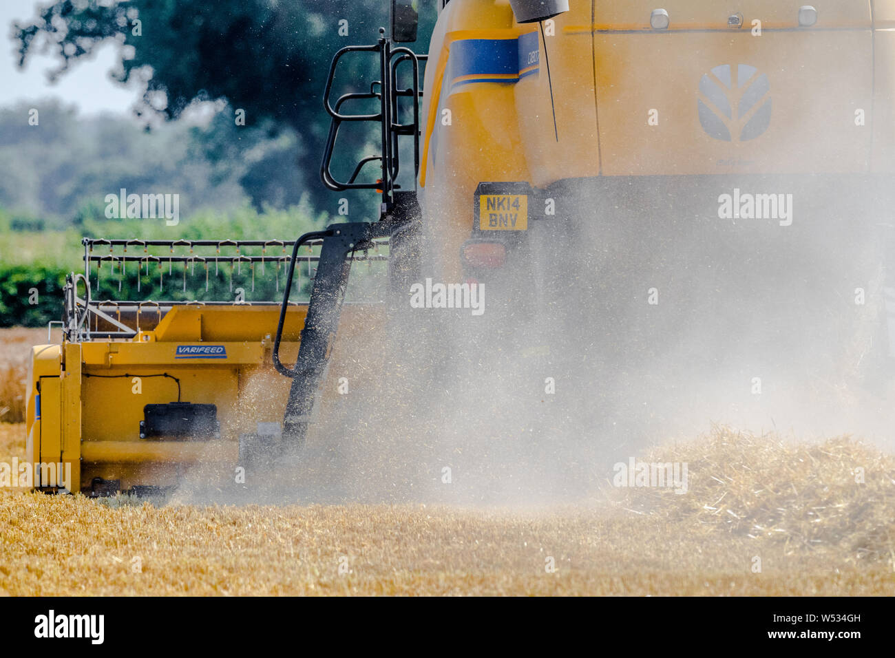 New Holland mietitrebbia il raccolto di un raccolto di orzo. Foto Stock