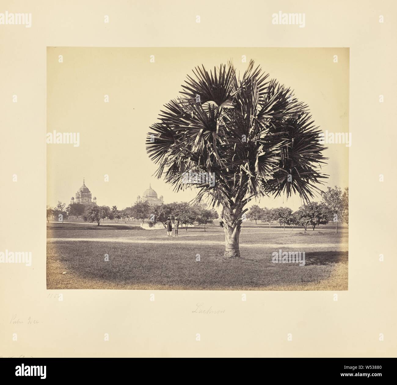 Lucknow, Palm Tree Studio, Samuel Bourne (inglese, 1834 - 1912), Lucknow, India, 1865-1866, albume silver stampa, 23 × 28,8 cm (9 1/16 × 11 5/16 in Foto Stock