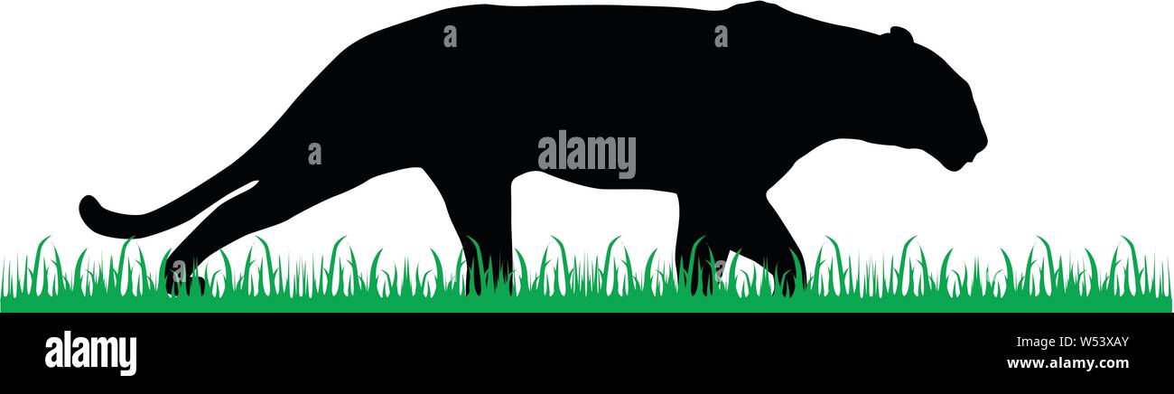 Black Panther a piedi attraverso l'erba verde silhouette vettoriali Illustrazione Vettoriale