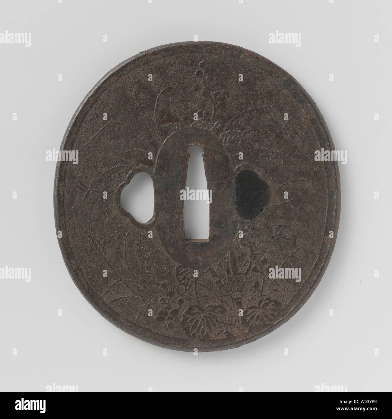 Protezione mano, ovale tsuba con basso rilievo piante, fiori e insetti su un lato e sull'altro lato vari motivi geometrici, poste le une accanto alle altre in campi, uno dei ryo hitu è riempito con shakudo, firmato "kashu ju ...." (annientati)., anonimo, Giappone, 1600 - 1900, ferro (metallo), h 9.1 cm × w 8,4 cm Foto Stock