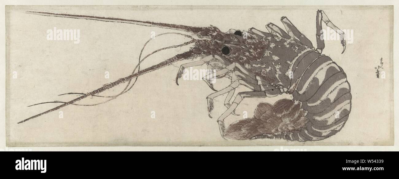 Scampi, Katsushika Hokusai (menzionato in oggetto), Giappone, 1800 - 1805, carta, colore xilografia, h 184 mm × W 511 mm Foto Stock