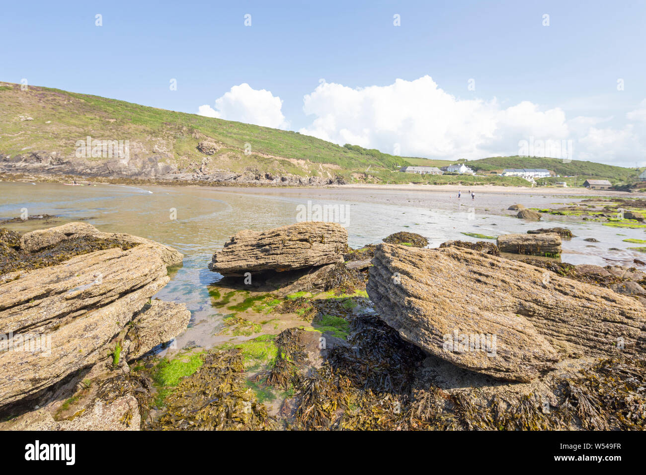 Nolton Oasi Beach, Il Pembrokeshire Coast National Park, Wales, Regno Unito Foto Stock