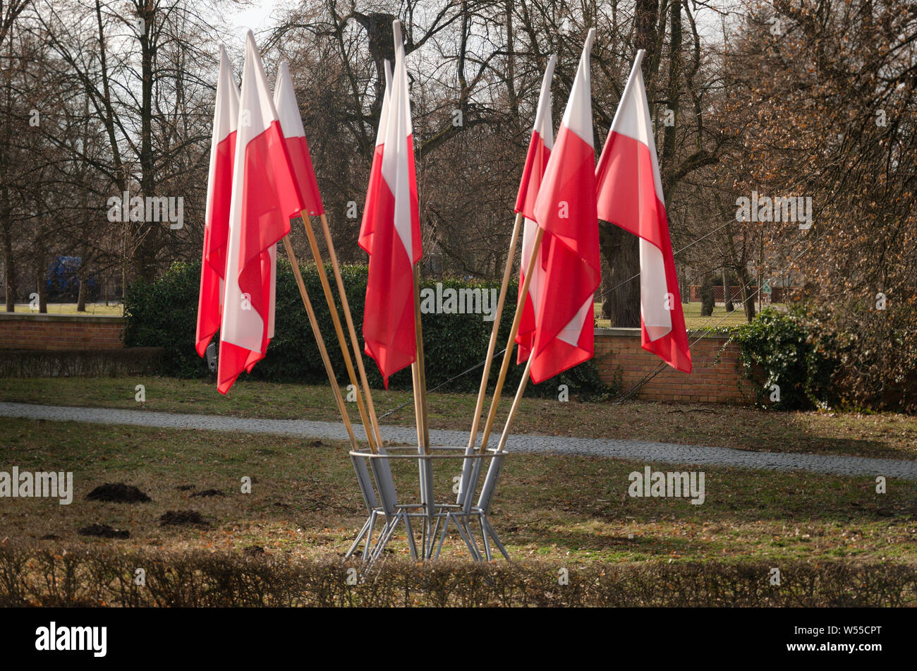 Bandiere polacche Foto Stock