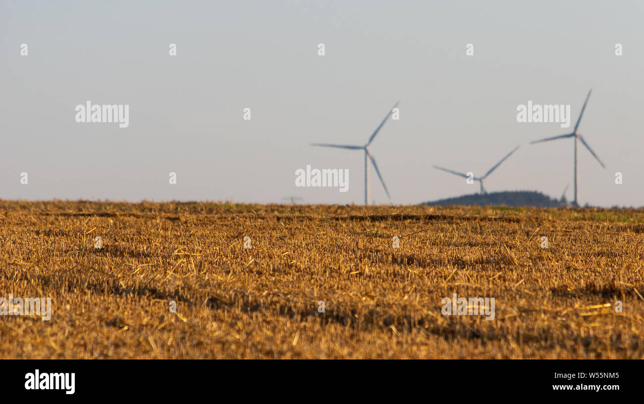 Le turbine eoliche in distanza con raccolti di frumento campo di stoppie davanti, cielo chiaro Foto Stock