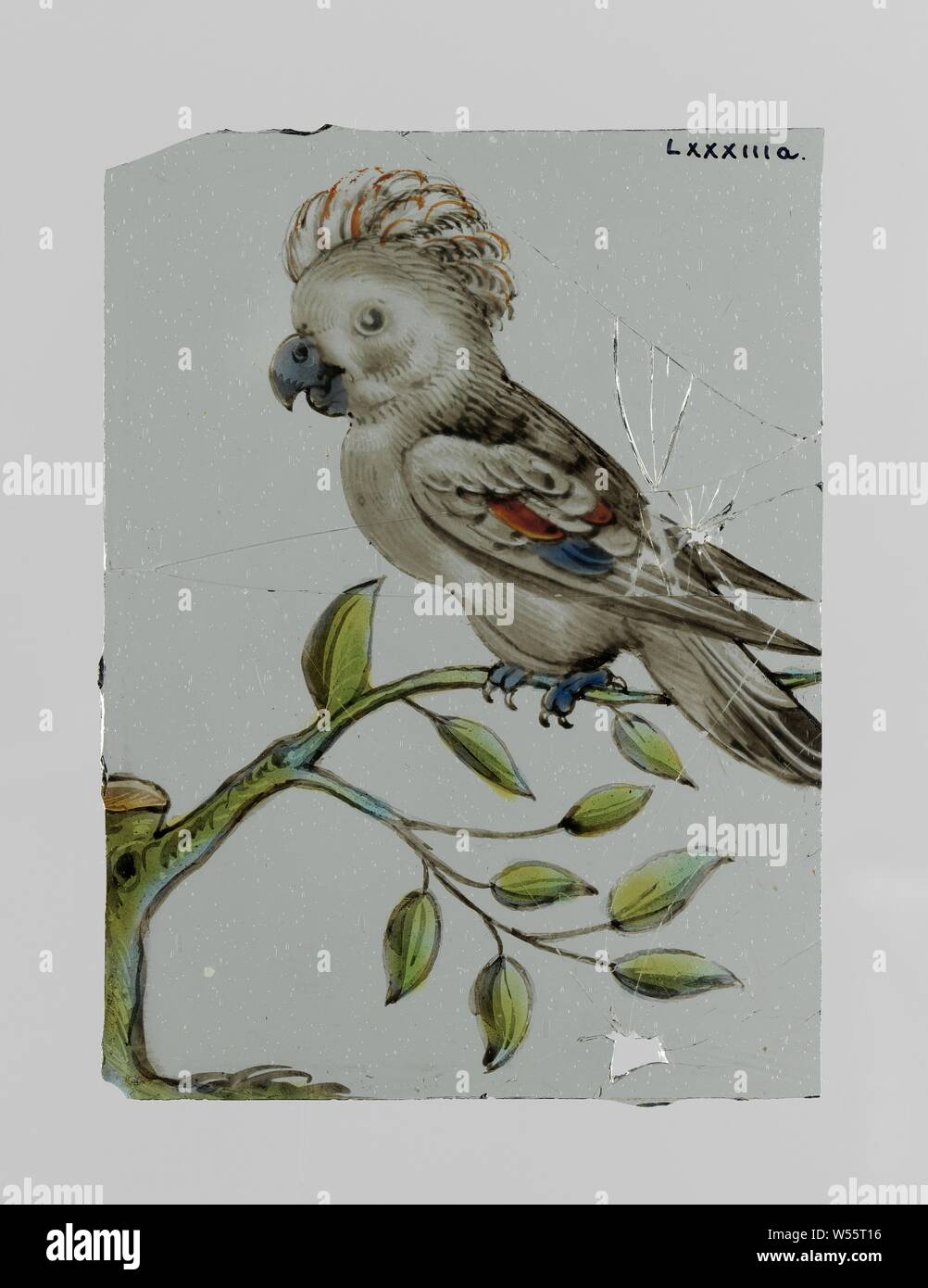 Finestra con un cacatua, una finestra con pittura a smalto di un uccello (cacatua) su un ramo prevalentemente in grisaille e leggermente blu (becco, gambe) e rosso (cresta, ala)., anonimo, c. 1650 - c. 1675, vetro, h 11.7 cm × w 8,7 cm Foto Stock