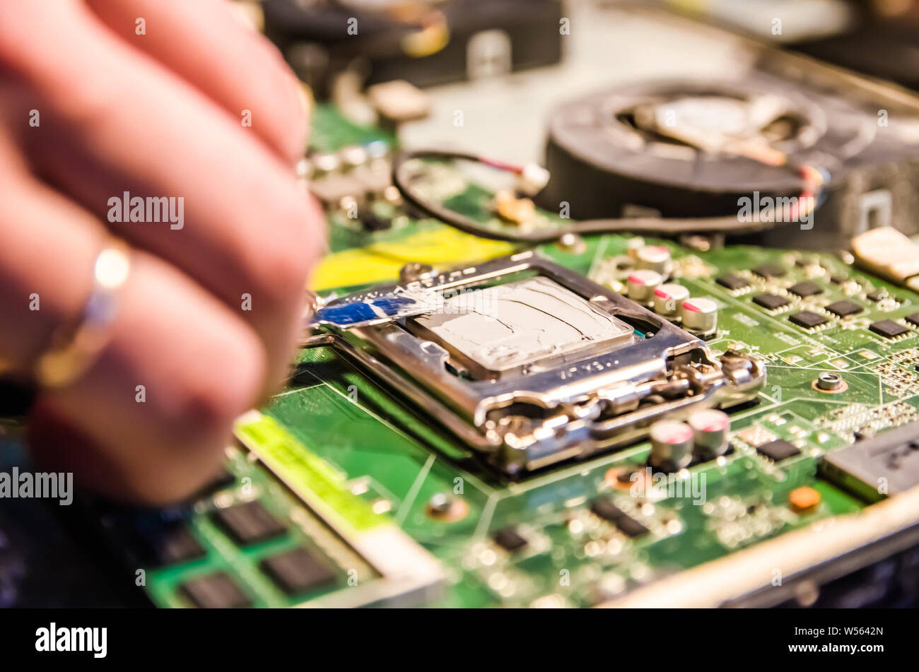 Supporto tecnico grassi lavoratore con del grasso termico incollare il processore del computer Foto Stock