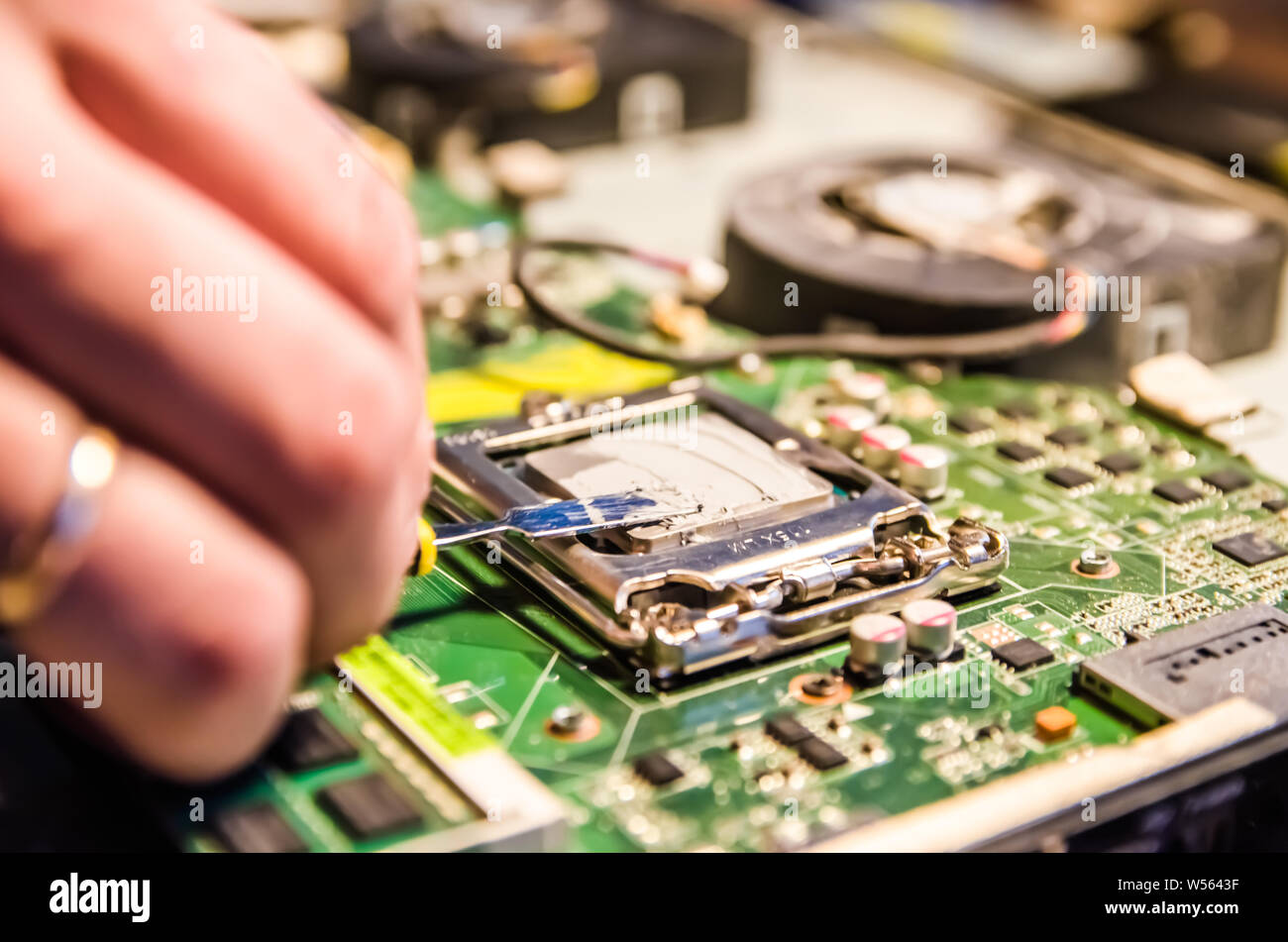Supporto tecnico grassi lavoratore con del grasso termico incollare il processore del computer Foto Stock