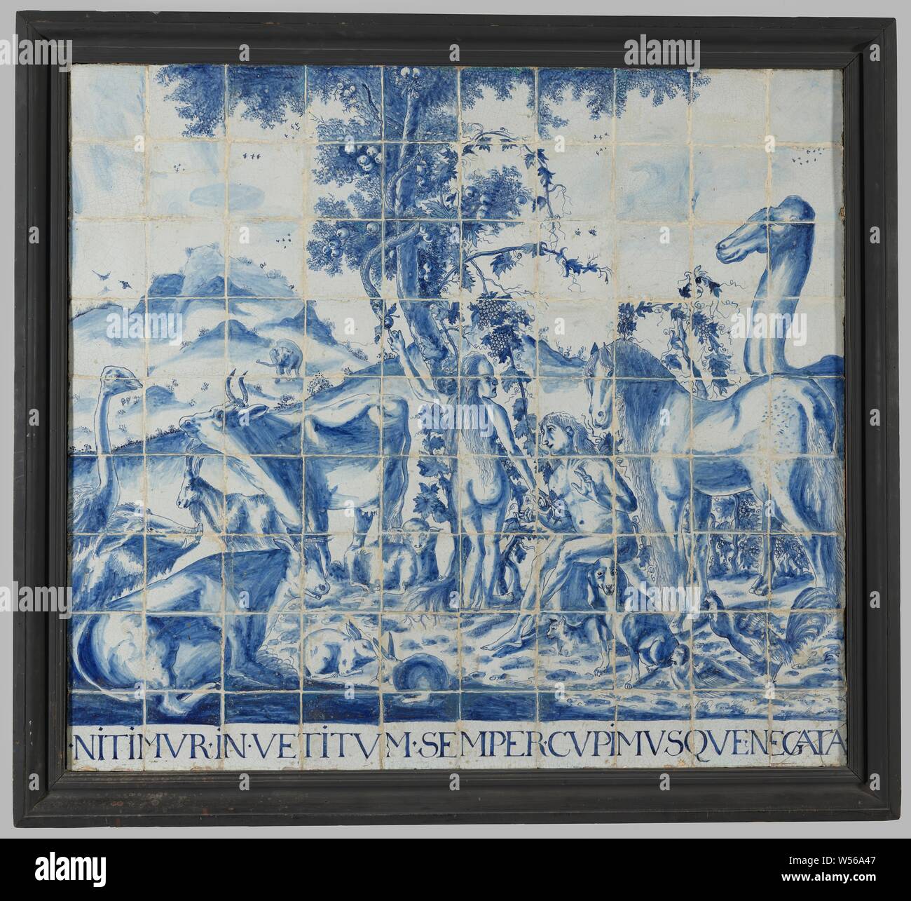 Pannello di piastrelle di 90 tessere, pannello di piastrelle di 90 tessere (9 x 10) con un blu dipinto di rappresentazione biblica di Adamo ed Eva circondato dagli animali con la struttura ad albero con il serpente nel mezzo. Al di sotto della mostra, l'iscrizione: .NITIMVR.in.VETITVM.SEMPER.CVPIMVSQVENEGATA., anonimo, Olanda, 1650 - 1680, terraglia, stagno smalto, h 131 cm × w 144.5 cm × d 7 Foto Stock