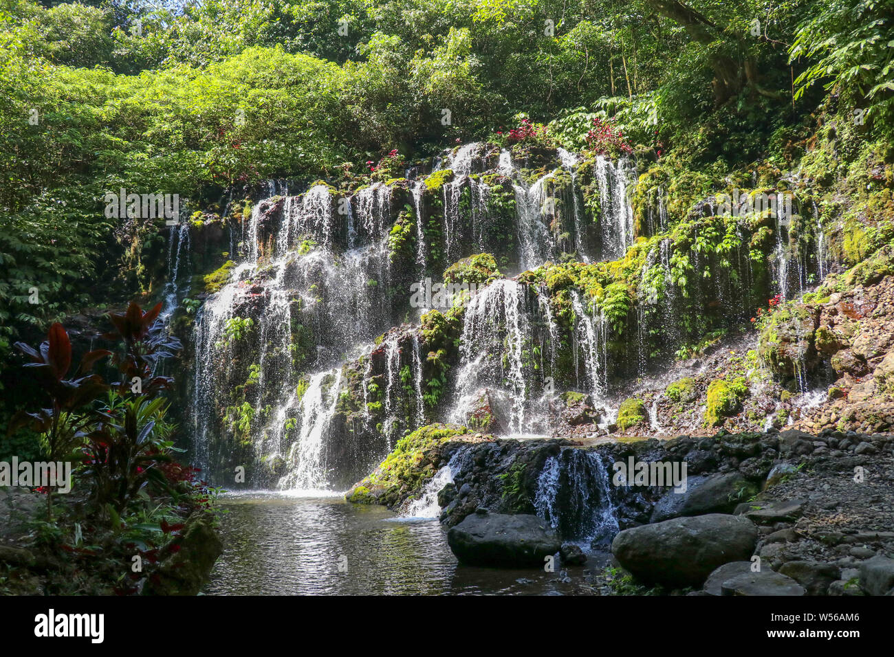 Scenic cascata Banyu Wana Amertha cascata in Bali. Belle cascate e foresta verde luogo di riposo e relax tempo. La montagna bella foresta pluviale. Foto Stock