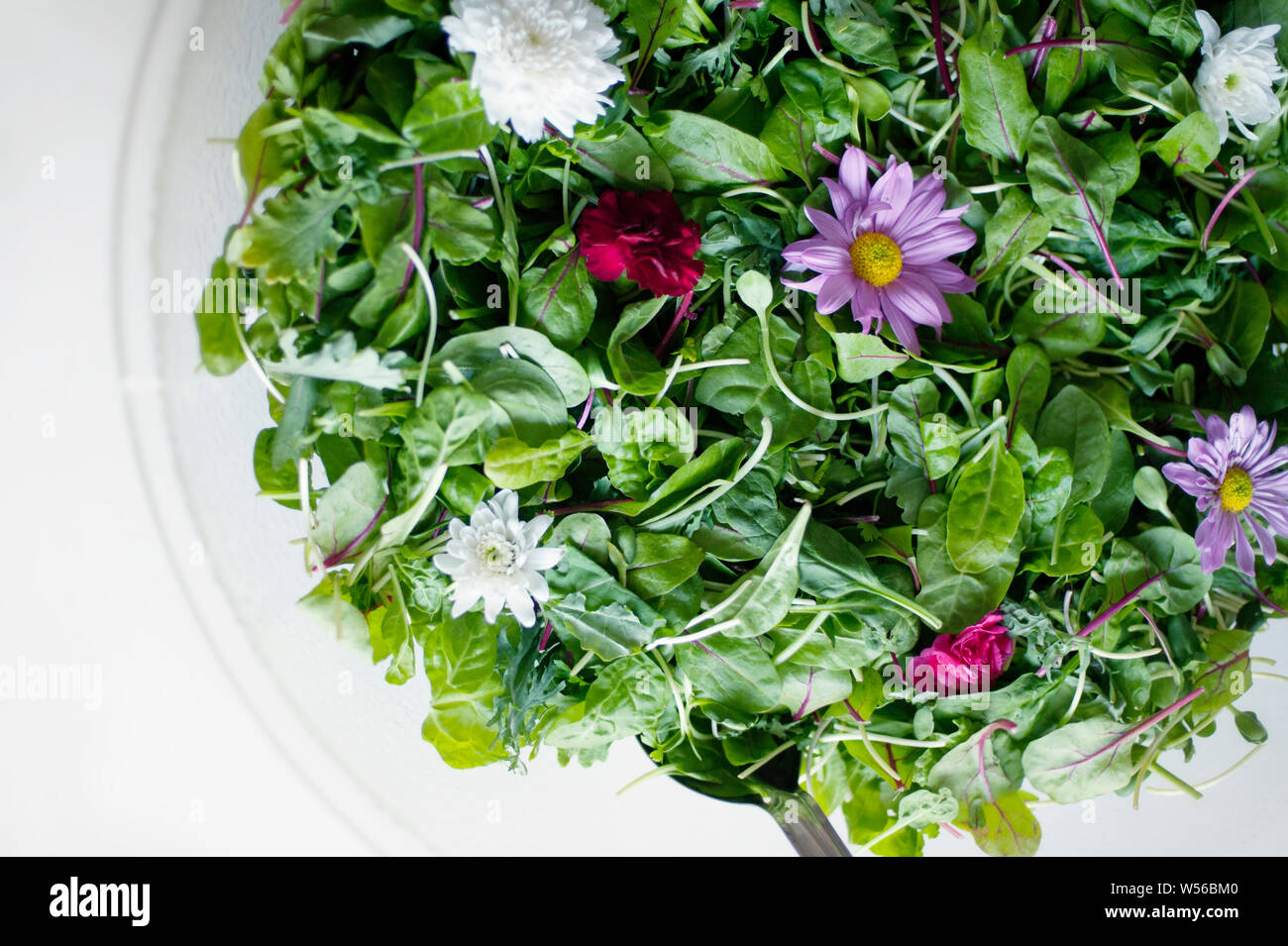 Materie vegano dieta alimentare. Insalata con fiori commestibili. Foto Stock