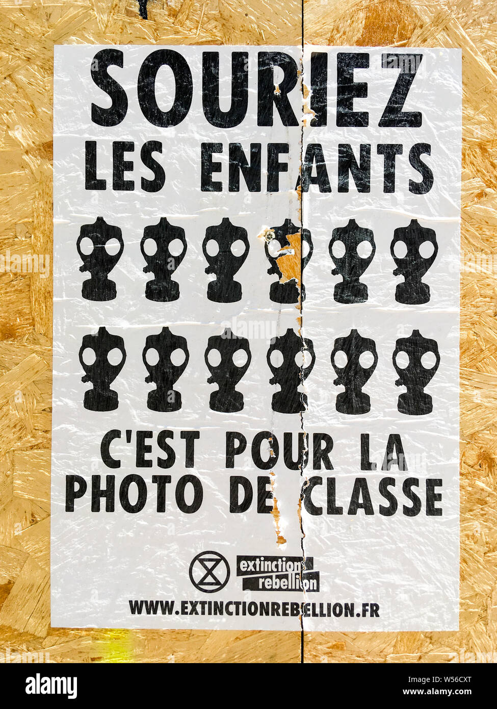 Estinzione della ribellione campains per la biodiversità e del pianeta difesa, Lione, Francia Foto Stock