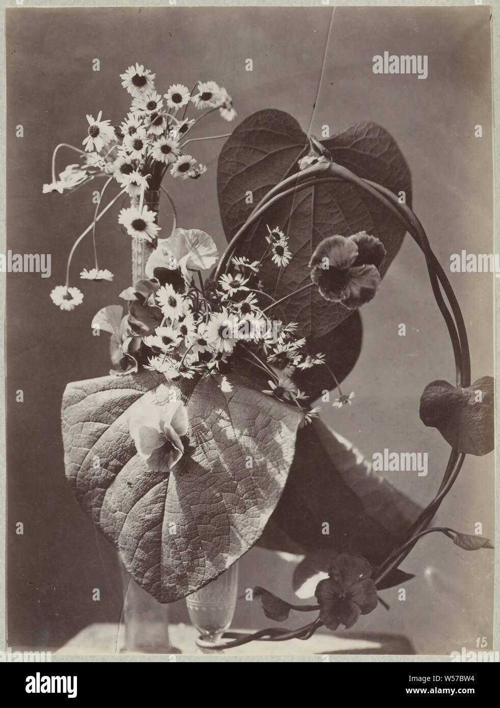 Studio di fiori con vasi in vetro, parte del legante di raccolta con le foto di fiori di studi, fiori, contenitore o vetro: bottiglia, jar, vase, Charles Aubry (modo di), Parigi, c. 1875 - c. 1895, cartone, carta fotografica, albume stampa, h 350 mm × W 260 mm h 236 mm × W 175 mm Foto Stock