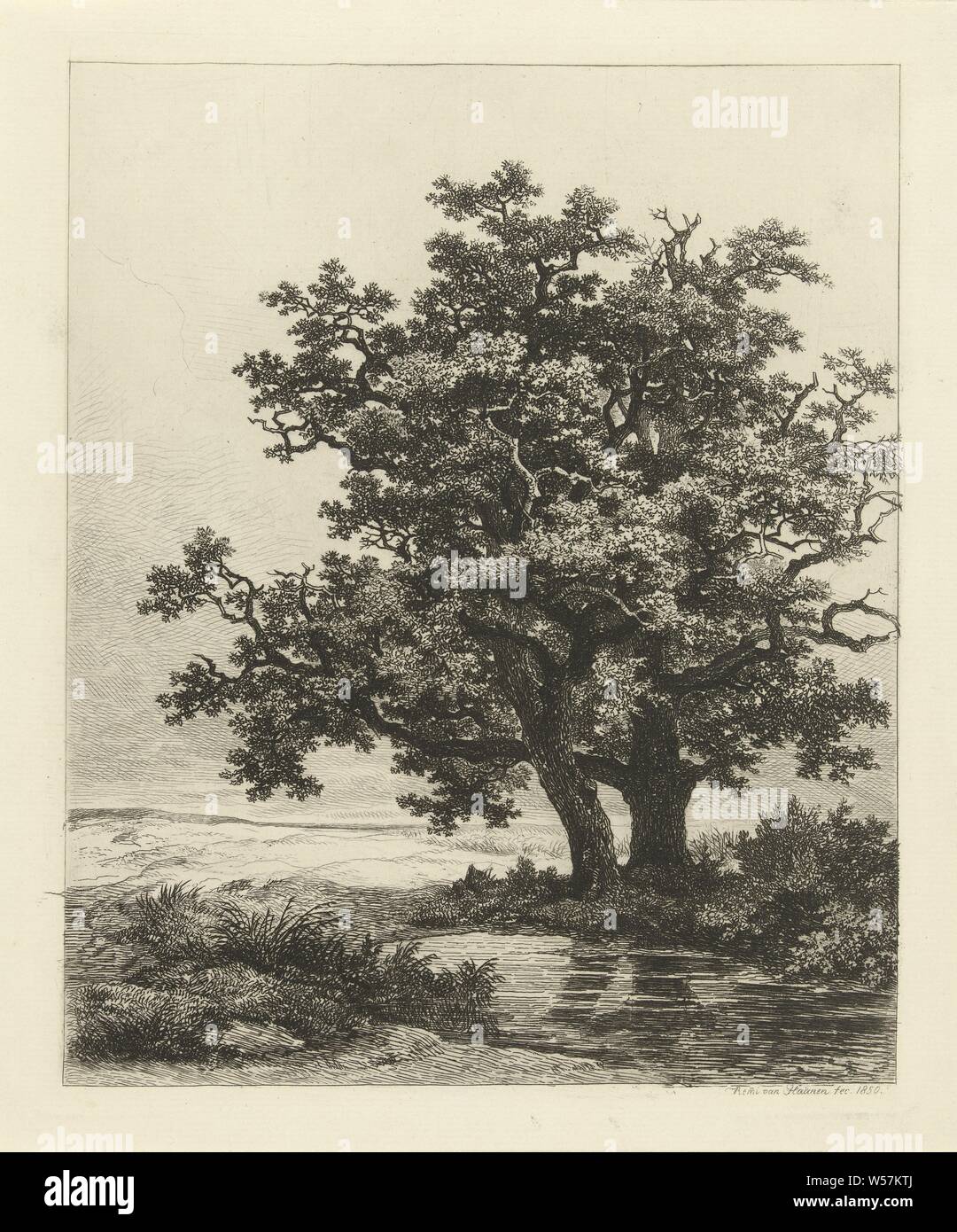 Due Querce da un lago, un paesaggio con due alberi di quercia e di un lago, paesaggi con acque, paesaggi marini, paesaggi marini (nella zona temperata), Remigius Adrianus Haanen (menzionato in oggetto), Austria, 1850, carta, attacco, h 233 mm × W 195 mm Foto Stock