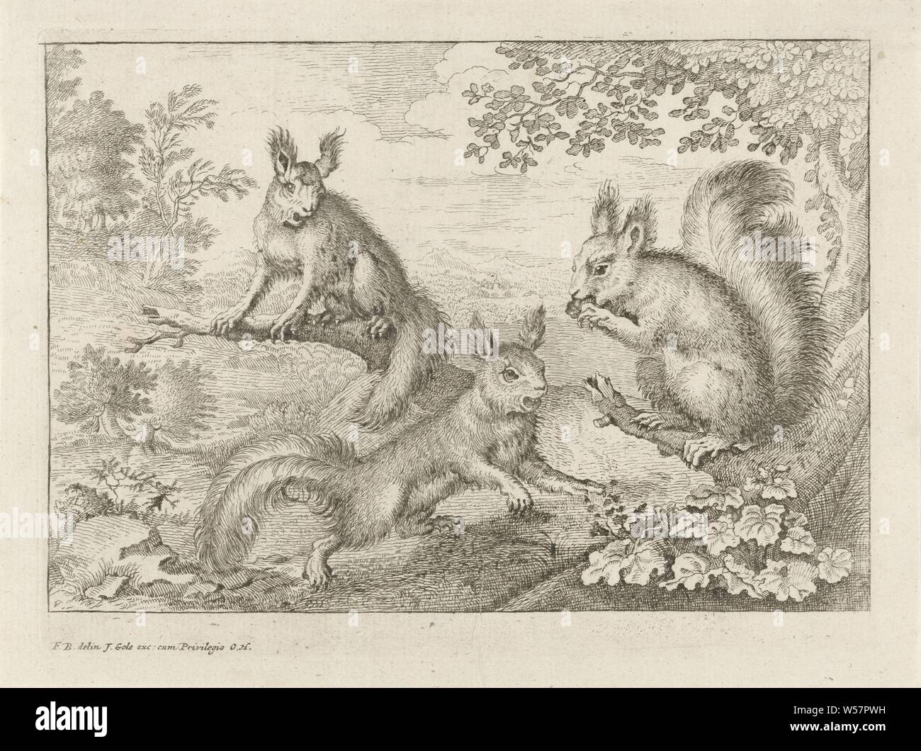 Tre scoiattoli in un paesaggio diversi animali (titolo serie), un paesaggio con tre scoiattoli in primo piano. La stampa è parte di una serie di diversi animali come soggetto, foresta, legno, roditori: scoiattolo, Jacob Gole, Amsterdam, 1680 - 1723, carta, attacco, h 138 mm × W 184 mm Foto Stock