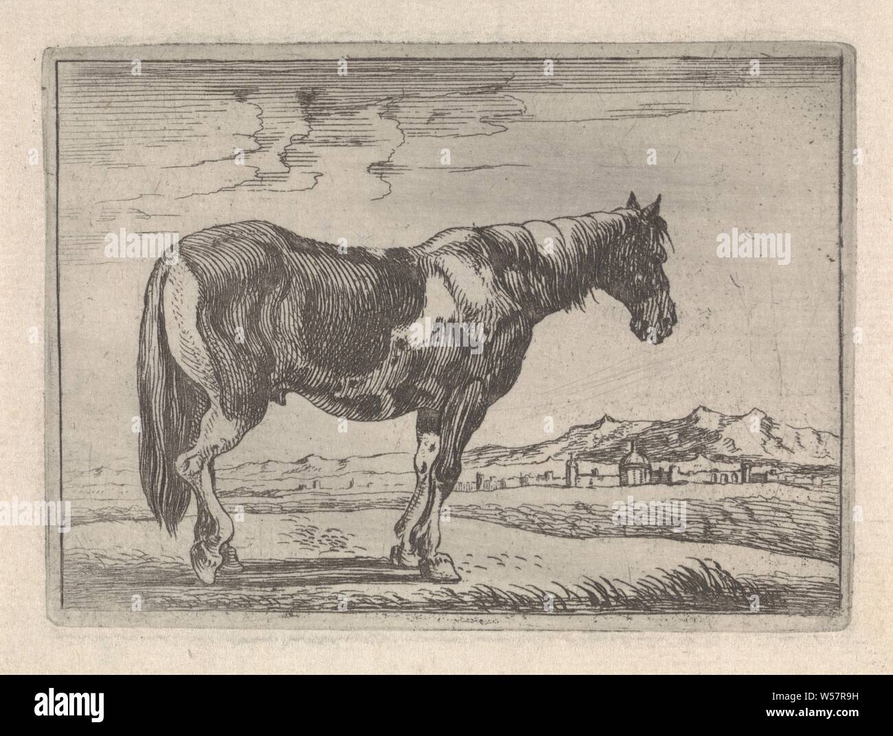 Cavallo permanente di vari animali (titolo serie), in un paesaggio si erge un cavallo, visto da parte. I contorni di una città sono visibili in background. Questa stampa è parte di una decina di serie sui vari animali, cavallo, paesaggi, Theodorus van Kessel, 1654, carta, attacco, h 76 mm × W 103 mm Foto Stock
