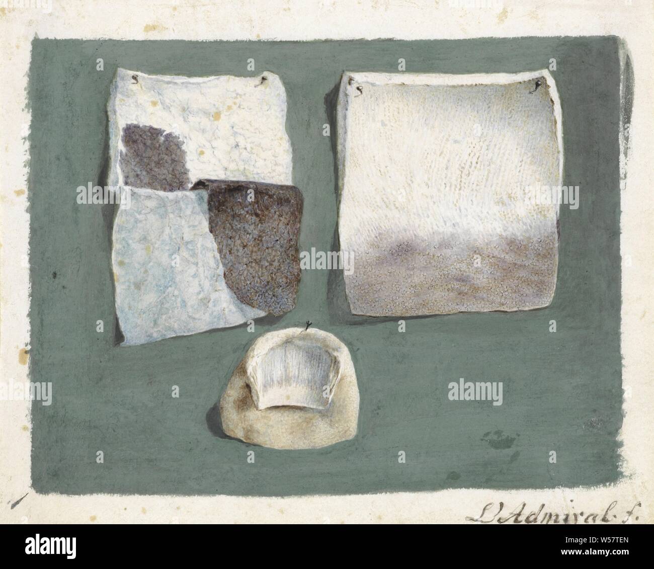 Studio anatomico della pelle umana e chiodo, chiodi (dita), la pelle (umana), altri dettagli anatomici, Jan l'Ammiraglio (menzionato in oggetto), Amsterdam, 1737, carta, gouache (vernice), h 117 mm × W 146 mm Foto Stock