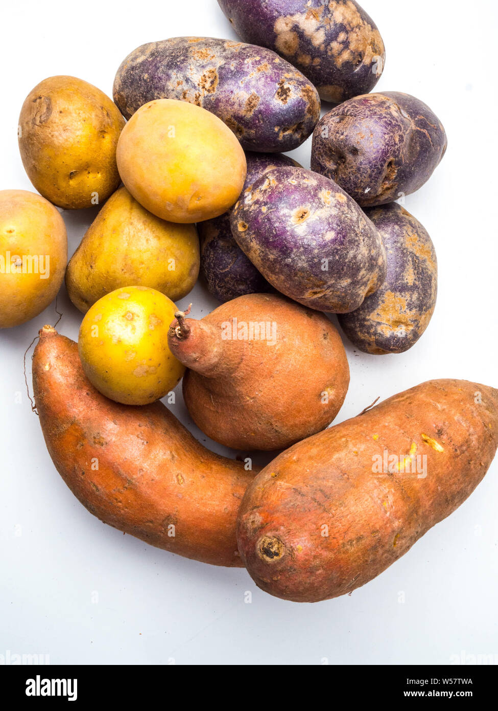 Con varietà miste di patate: patate rosse, gialle e patate patate viola isolato su sfondo bianco Foto Stock