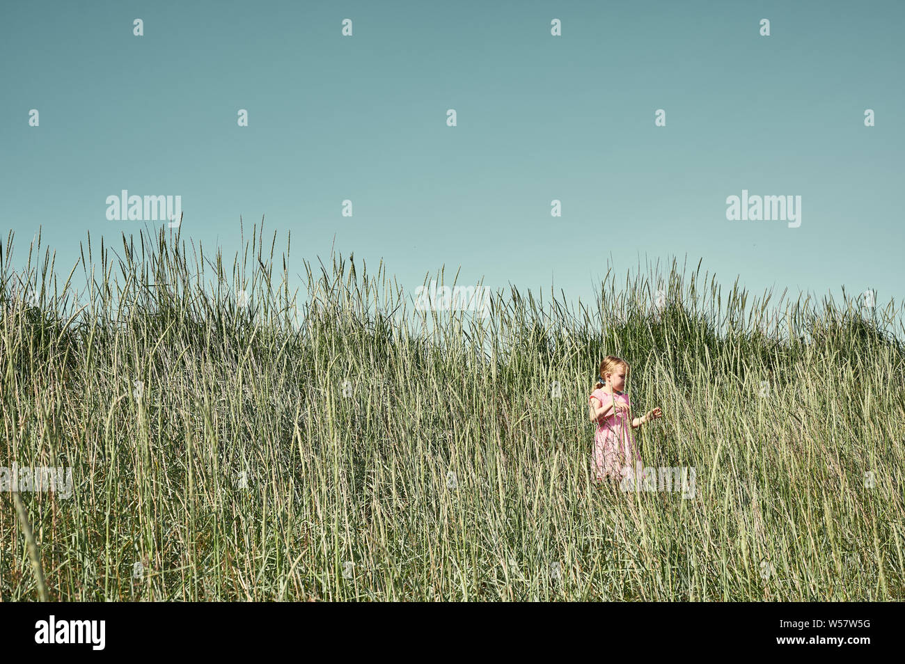 Ragazza giovane e carina in abito rosa a piedi in erba alta nel lussureggiante verde soleggiato campo sulla grotta isola in estate Foto Stock
