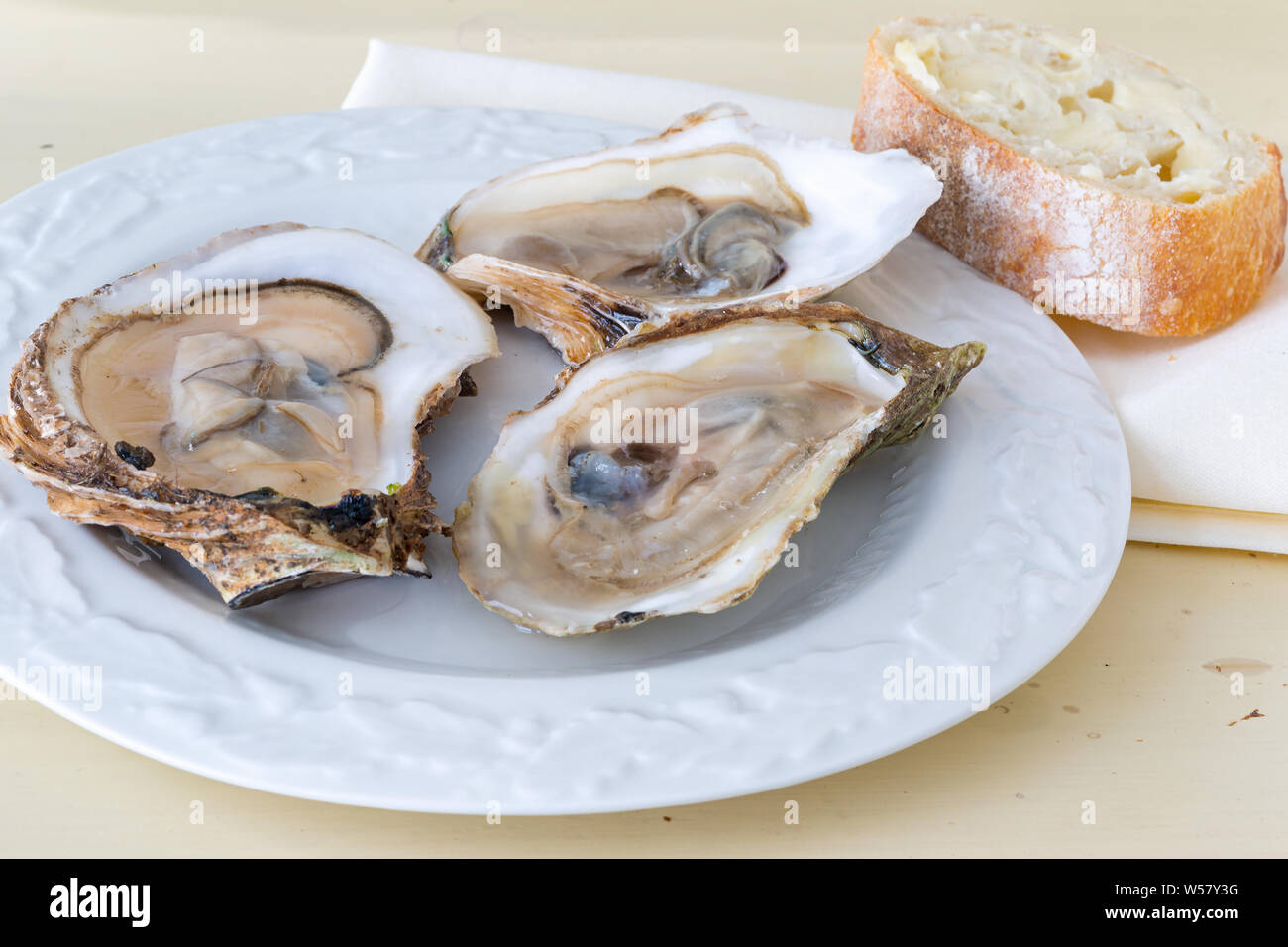 Apre Ostriche crudo su una piastra. Foto Stock