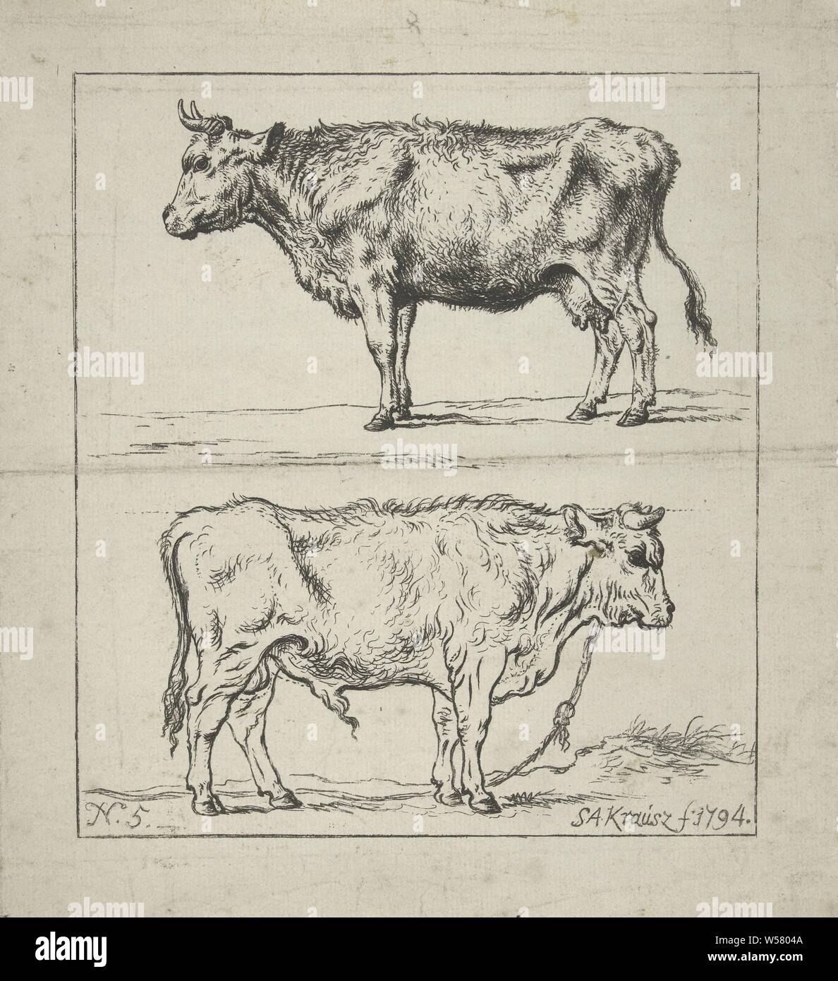 Studio di una mucca e un toro studi di vacche e pecore (titolo serie), lo studio di una mucca e un toro visto dal lato. La stampa è parte di una serie di stampe con studi di vacche e pecore, mucca, Simon Andreas Krausz (menzionato in oggetto), l'Aia, 1794, carta, h 262 mm × W 239 mm Foto Stock