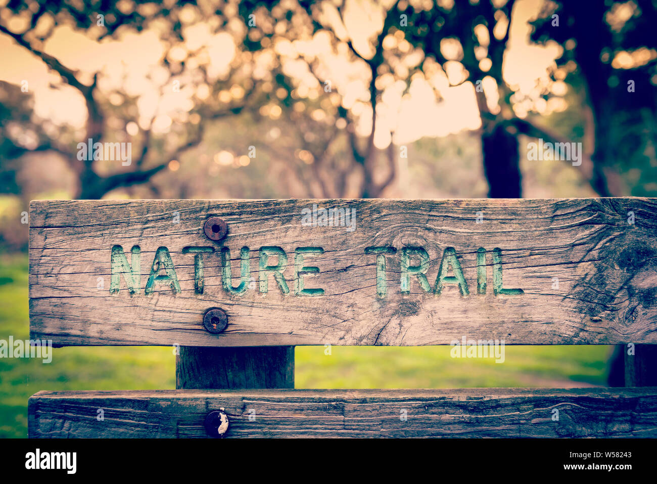 Il vecchio pannello di legno segno con il sentiero natura inciso il testo su di esso con retro Instagram stile effetto filtro Foto Stock