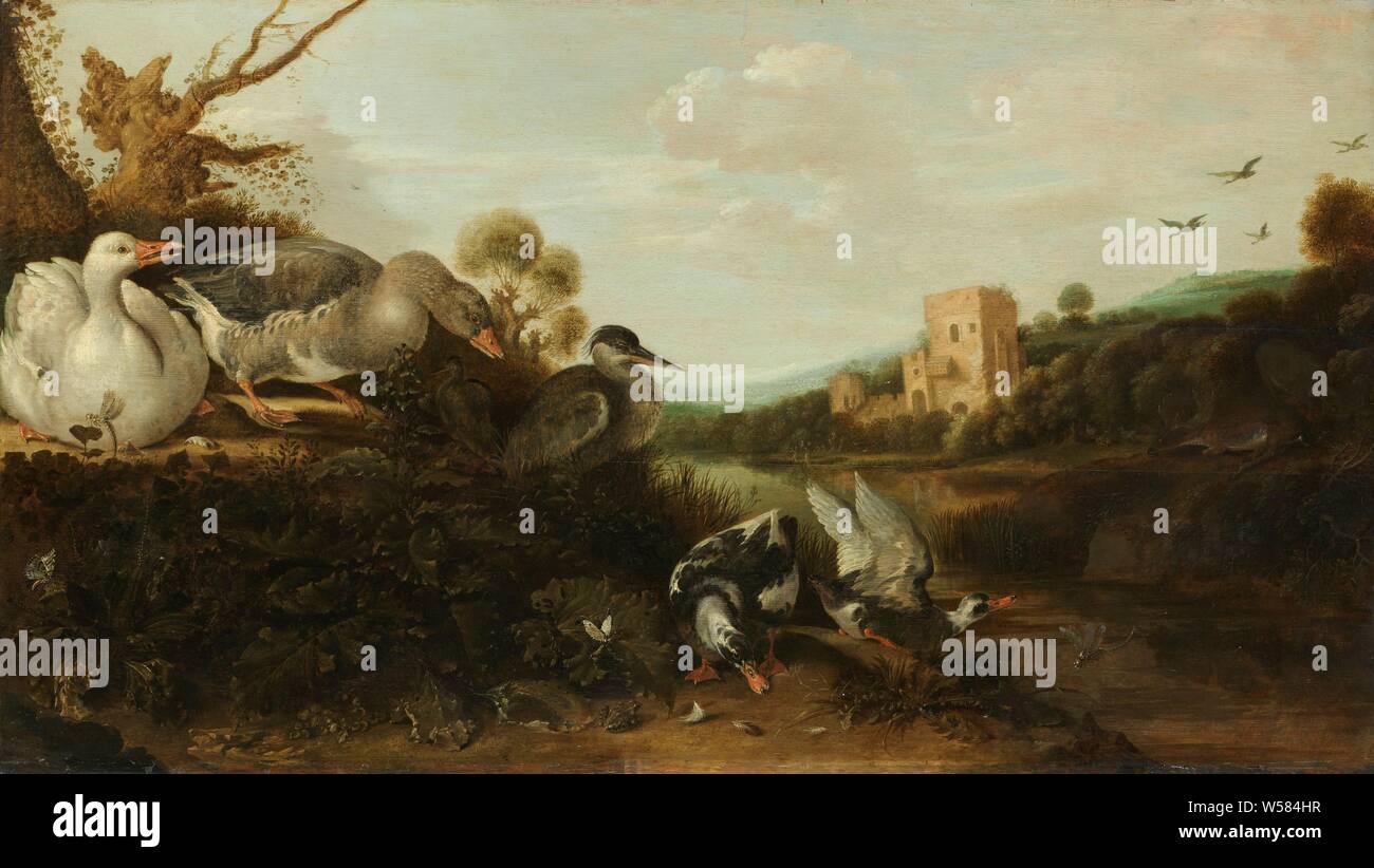 Gli uccelli acquatici, uccelli acquatici. Un gruppo di oche e anatre e un airone dal bordo dell'acqua. Tra il fogliame in primo piano è una rana e farfalle e libellule volare. Sullo sfondo di un paesaggio fluviale con una torre in rovina., Gijsbert Gillisz. de Hondecoeter, 1652, pannello, pittura a olio (vernice), h 59 cm × W 104 cm d 5,5 cm Foto Stock