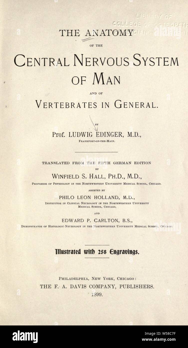 L'anatomia del sistema nervoso centrale di uomo e di vertebrati in generale : Edinger, Ludwig, 1855-1918 Foto Stock