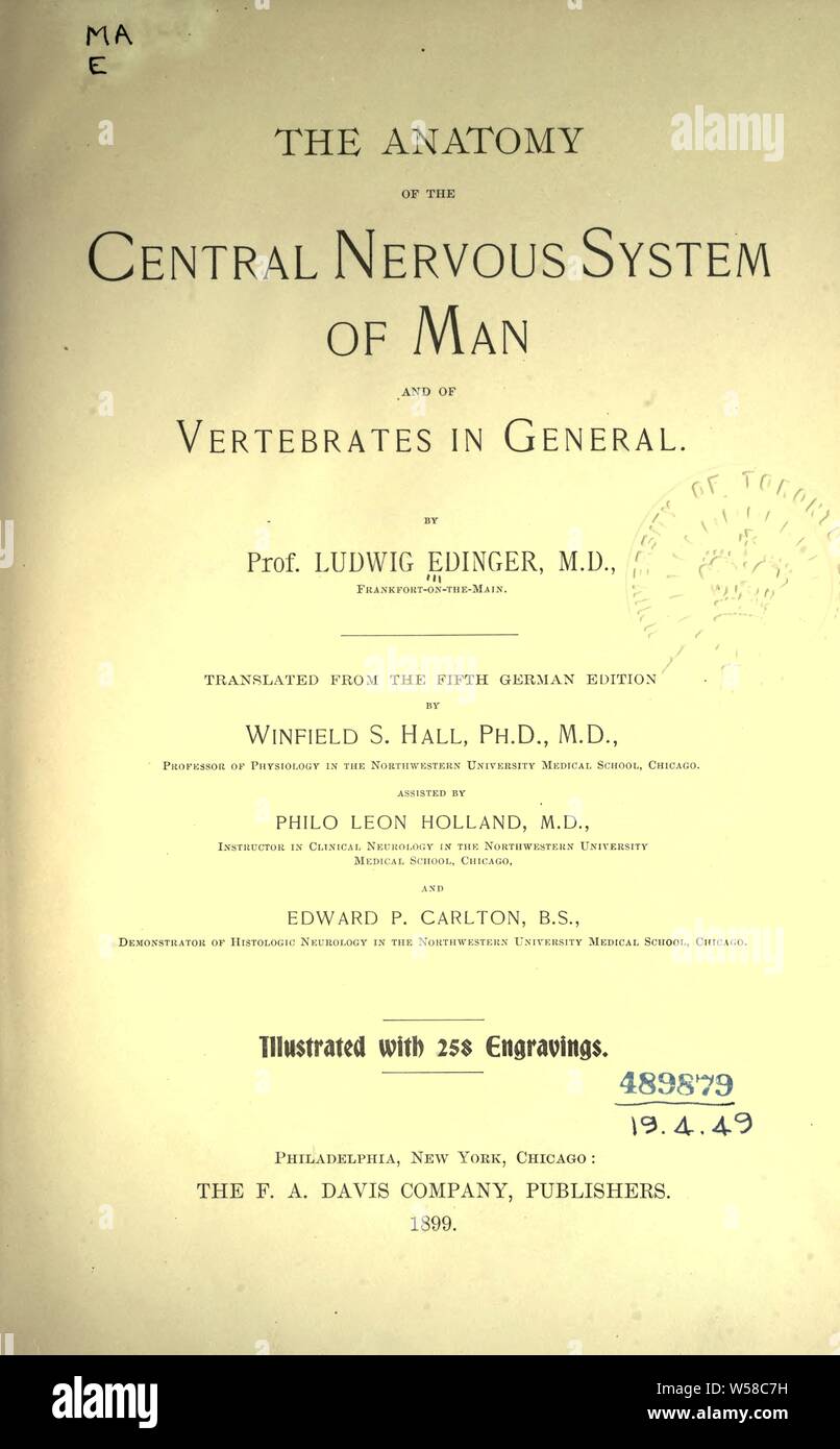 L'anatomia del sistema nervoso centrale di uomo e di vertebrati in generale : Edinger, Ludwig, 1855-1918 Foto Stock
