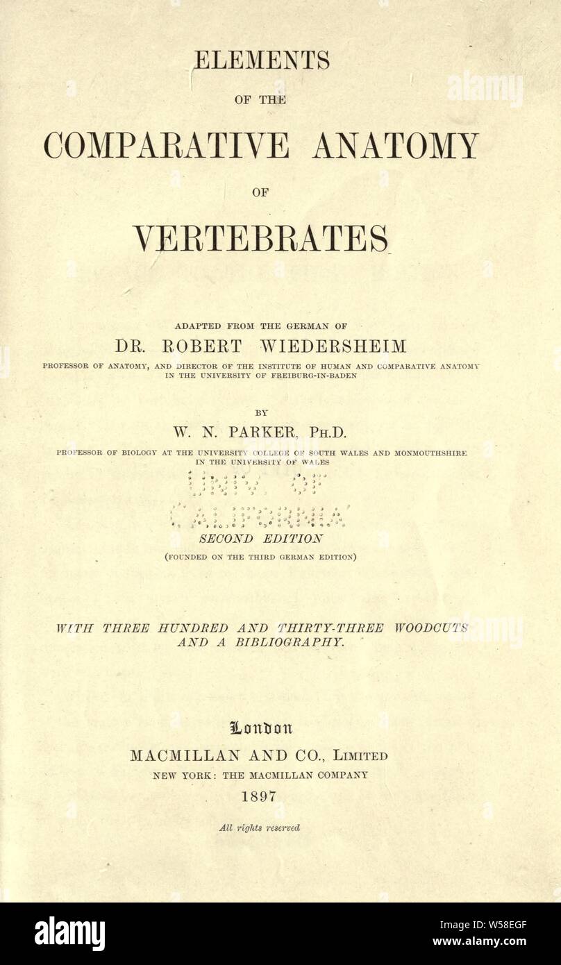 Elementi di anatomia comparata dei vertebrati : Wiedersheim, Robert, 1848-1923 Foto Stock