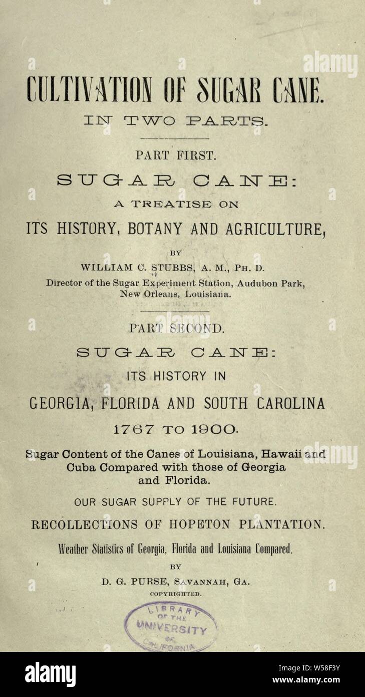 La coltivazione della canna da zucchero .. : Stubbs, William Carter, 1846-1924 Foto Stock