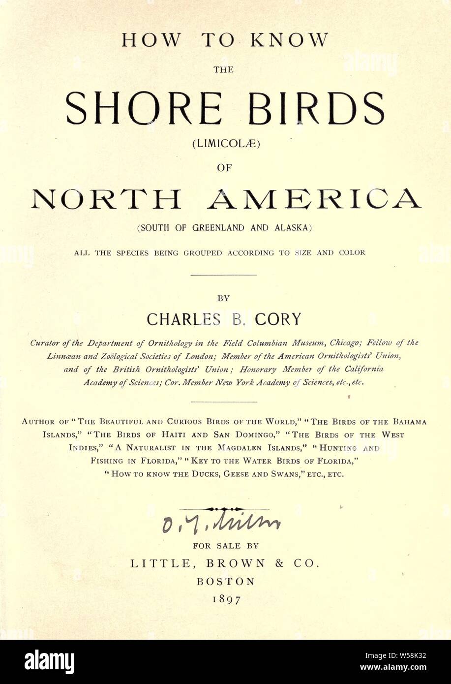 Come sapere la riva uccelli (Limicolae) del Nord America (sud della Groenlandia e in Alaska) tutte le specie che sono raggruppati secondo la dimensione e colore : Cory, Charles B. (Charles Barney), 1857-1921 Foto Stock