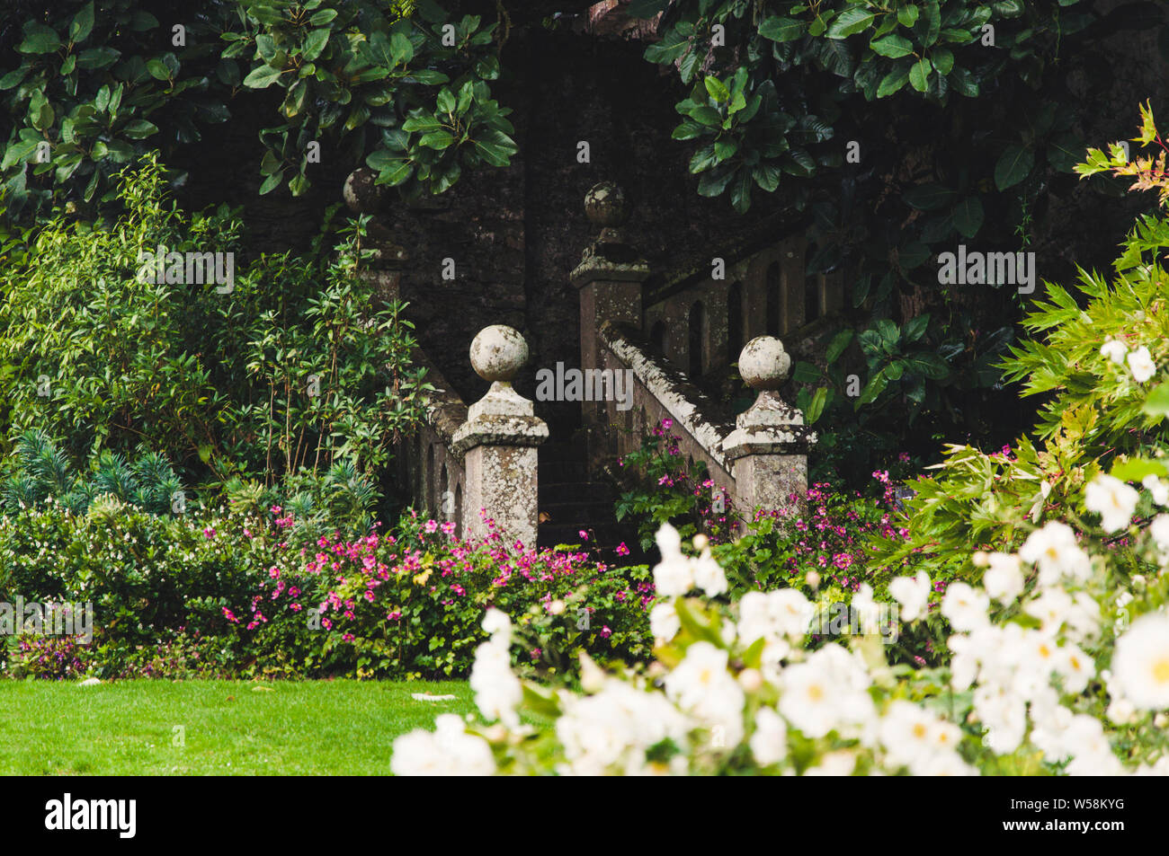 Scala nascosta, quasi coperto dalla natura in un bel giardino inglese Foto Stock