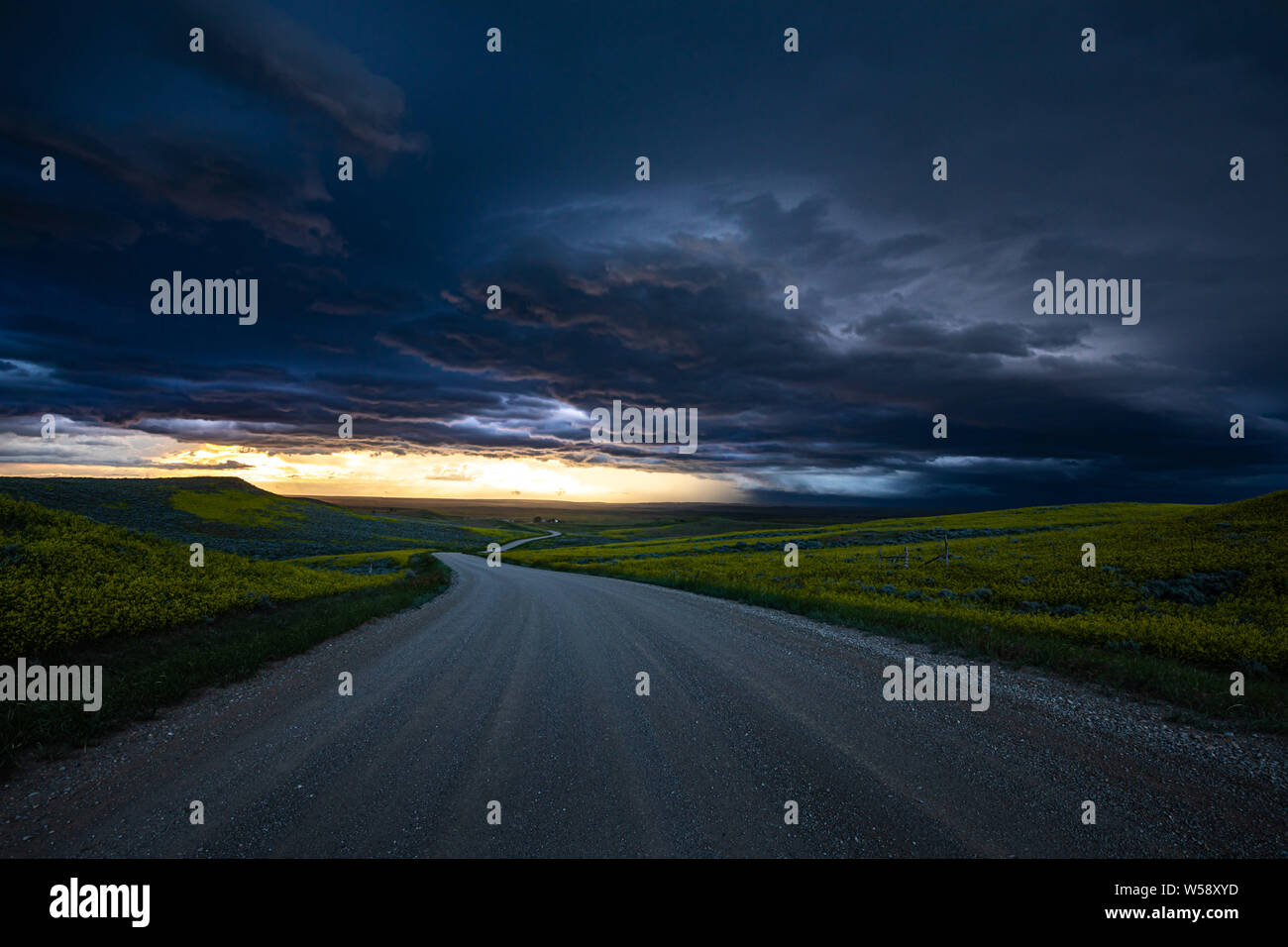 Strada sterrata con campi verdi e rivolto verso il tramonto con pesanti cielo nuvoloso Foto Stock