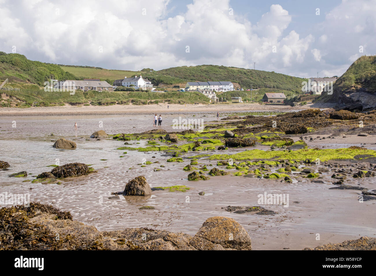 Nolton Oasi Beach, Il Pembrokeshire Coast National Park, Wales, Regno Unito Foto Stock