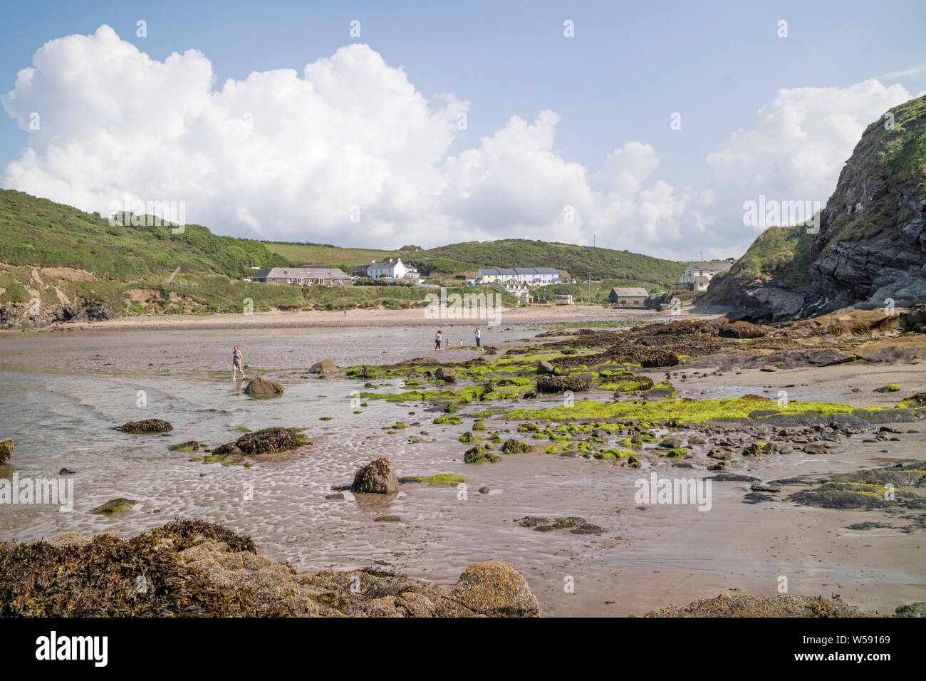 Nolton Oasi Beach, Il Pembrokeshire Coast National Park, Wales, Regno Unito Foto Stock