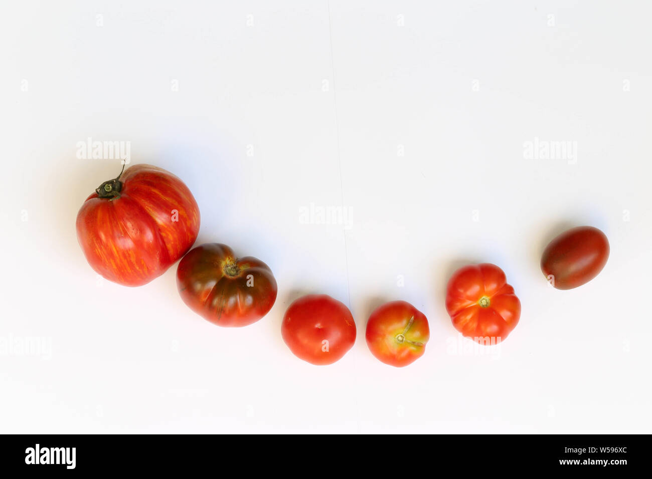 Tomaten mit Basilikum auf weißem Hintergrund Foto Stock