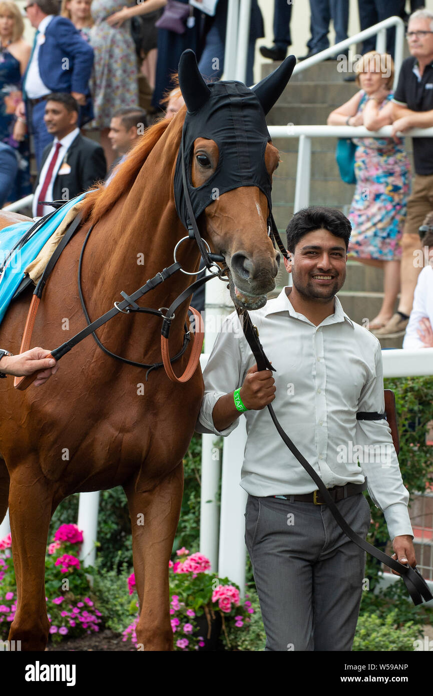 Ascot Racecourse, Ascot, Regno Unito. 26 Luglio, 2019. Un felice lo sposo in parata anello. Credito: Maureen McLean/Alamy Foto Stock