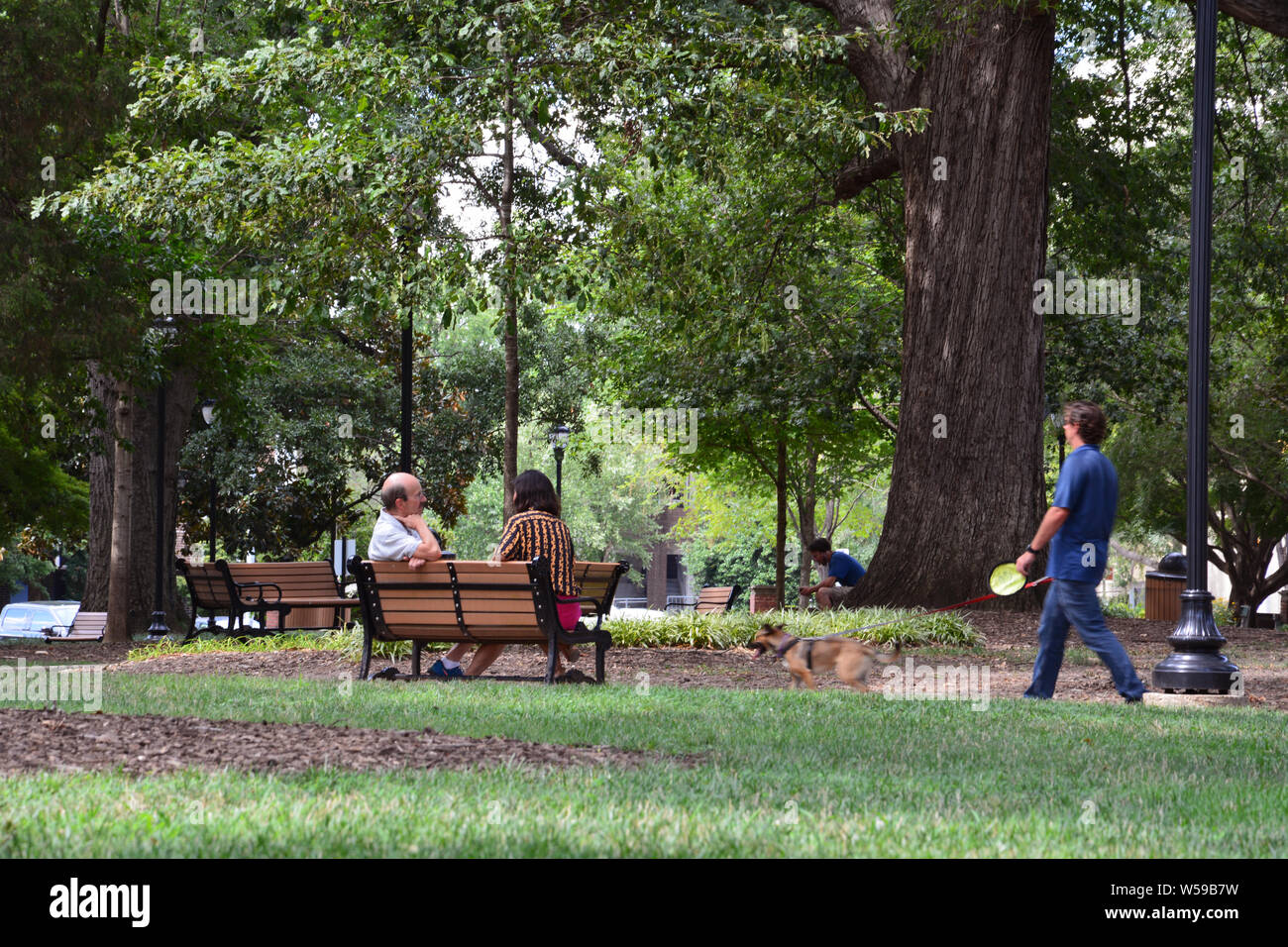 Un giovane si siede su una panchina nel parco in Nash piazza nel centro di Raleigh North Carolina. Foto Stock