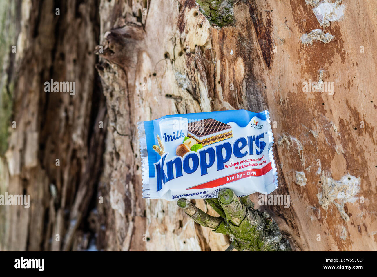 Lodz, Polonia, Gennaio 2017: Knoppers waffle sandwich riempito con il torrone e crema di latte. Prodotto da August Storck KG, dal 1983 Foto Stock