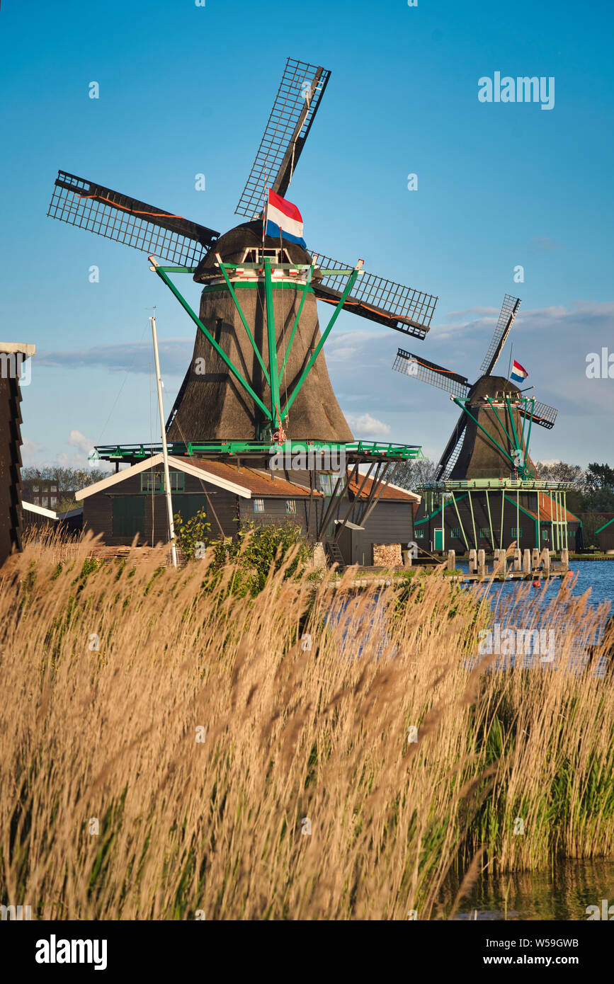 Foto del Moulin al tramonto nei Paesi Bassi Foto Stock