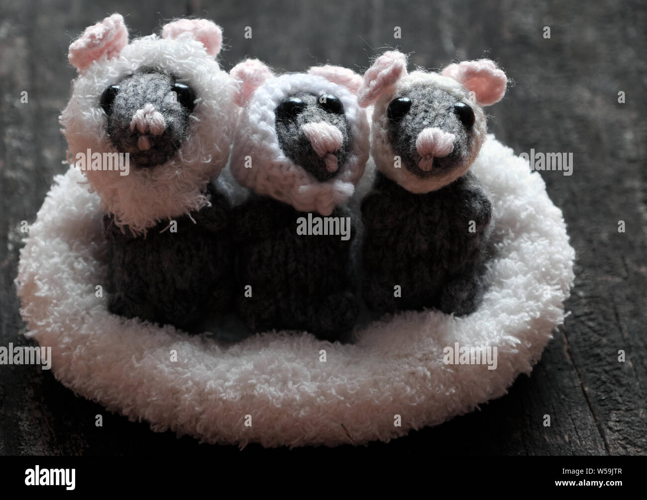 Tre topi cute stand nel cesto bianco su nero lo sfondo di legno, lana di piccole dimensioni di maglia di ratto da filati in tempo libero di artigianato Foto Stock